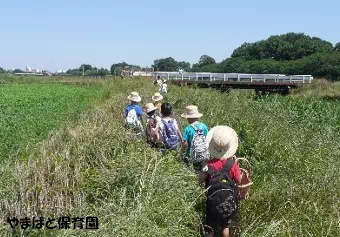 やまばと保育園保育士の求人情報の写真
