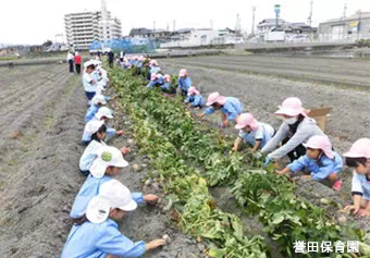 誉田保育園保育士の求人情報の写真