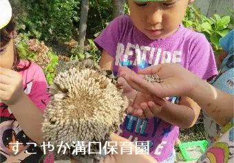 すこやか溝口保育園保育士/保育士資格取得見込み(来年度まで)の求人情報の写真