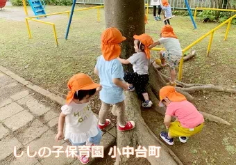 ししの子保育園 小中台町保育士/幼稚園教諭の求人情報の写真