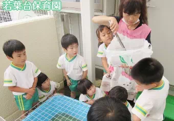 若葉台保育園保育士/保育士資格取得見込み(来年度まで)の求人情報の写真