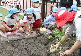 保育所型認定こども園 恵心保育園保育士/幼稚園教諭/保育教諭の求人情報の写真