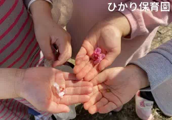 ひかり保育園保育士/保育士資格取得見込み(来年度まで)の求人情報の写真