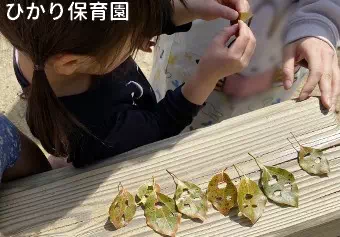 ひかり保育園保育士/保育士資格取得見込み(来年度まで)の求人情報の写真