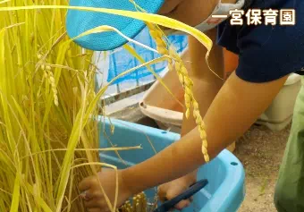 一宮保育園保育士/幼稚園教諭/保育教諭の求人情報の写真