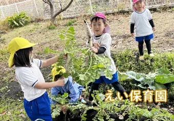 頴娃(えい)保育園保育士/幼稚園教諭/その他の職種/保育士資格取得見込み(来年度まで)の求人情報の写真