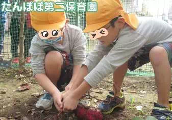 たんぽぽ第二保育園保育士/幼稚園教諭/保育士資格取得見込み(来年度まで)の求人情報の写真